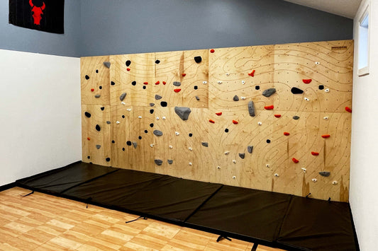 Sport Court Traverse Wall, North Oaks, MN