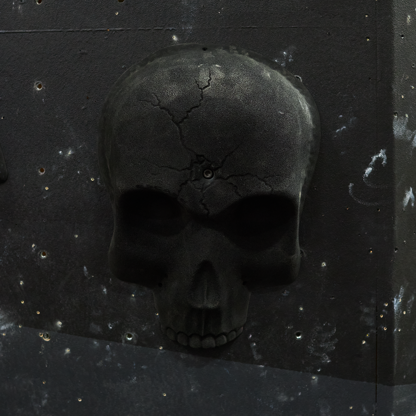 The Skull