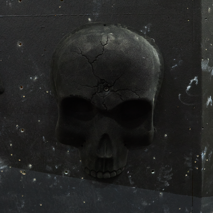 The Skull